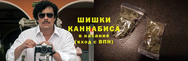 МДПВ Бородино