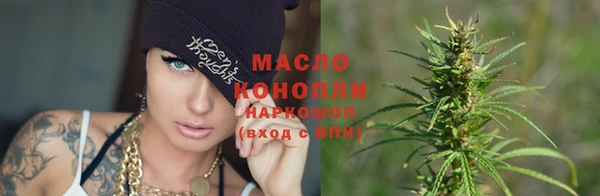 МДПВ Бородино