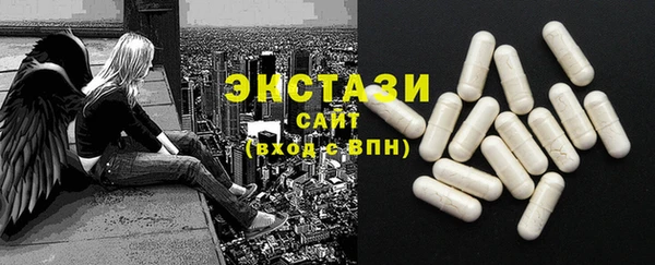 МДПВ Бородино