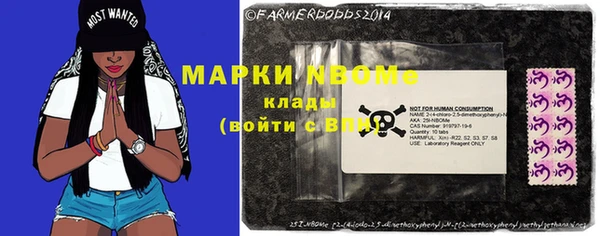 МДПВ Бородино