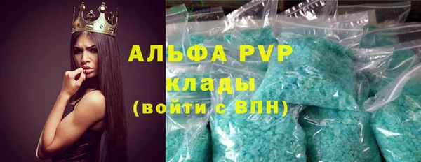 МДПВ Бородино