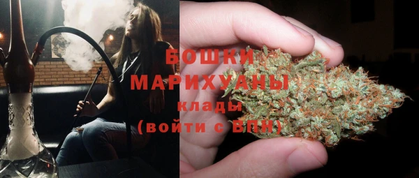МДПВ Бородино