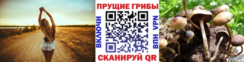 Галлюциногенные грибы Cubensis  Семилуки 
