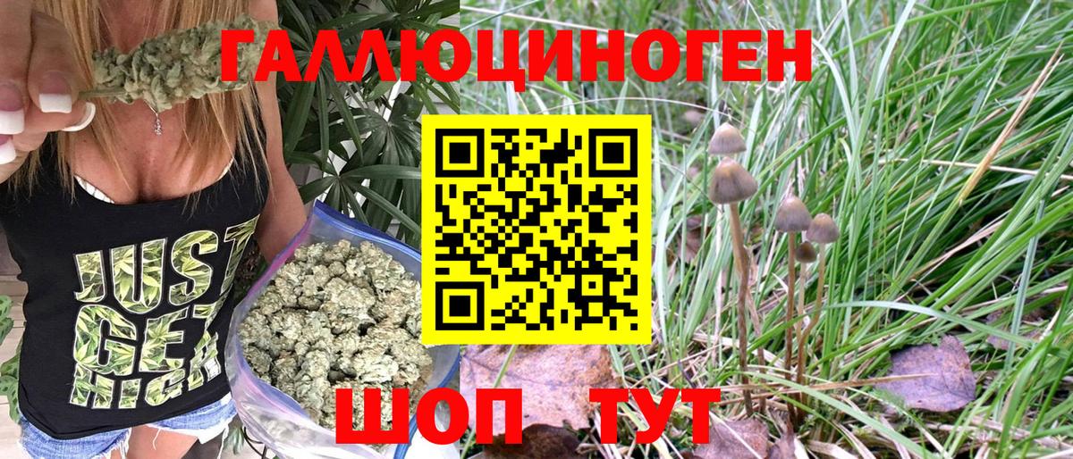 Галлюциногенные грибы Psilocybe Семилуки